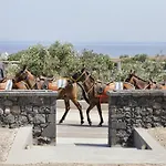 Vino Santorini Foinikiá