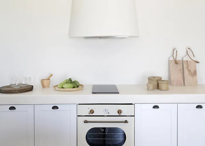 Vino Santorini Foinikiá